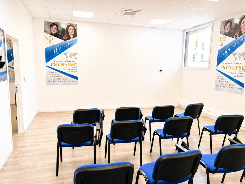salle 2 Lyon psynapse
